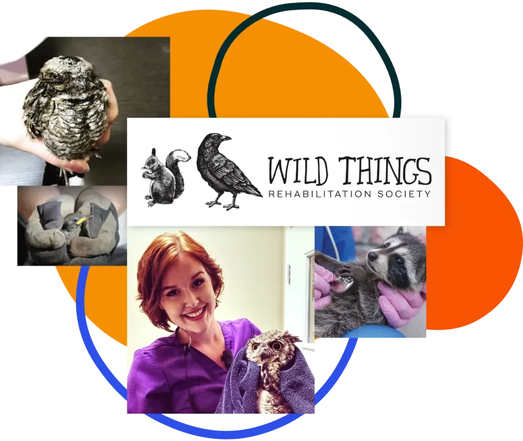 Wild Things Rehabilitation Society